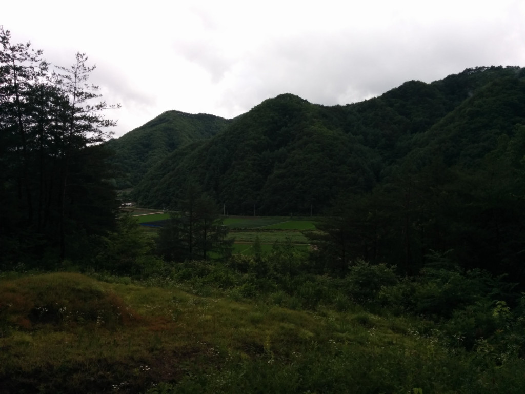 Honeyview_IMG_20160624_152912